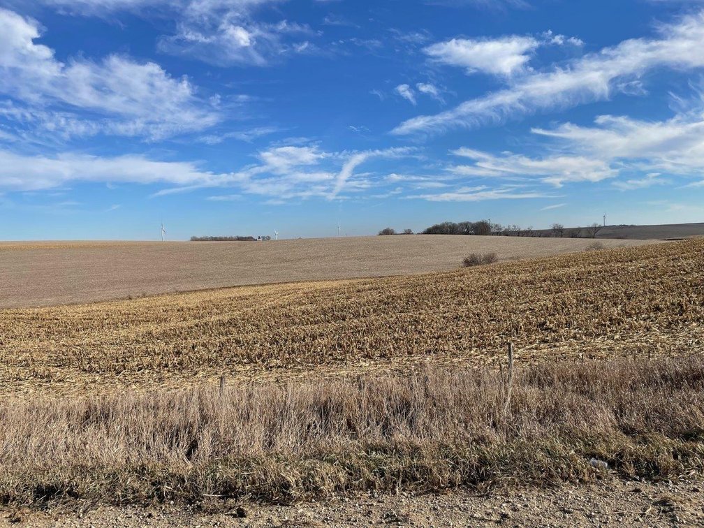 Image for Sac County Land Auction!