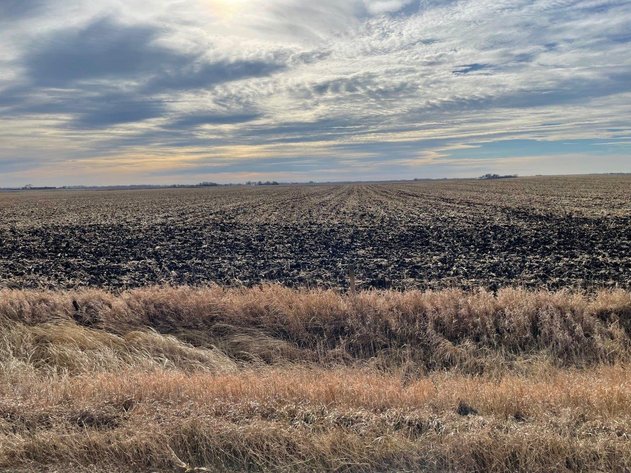 Image for Sac County, IA Land For Sale!