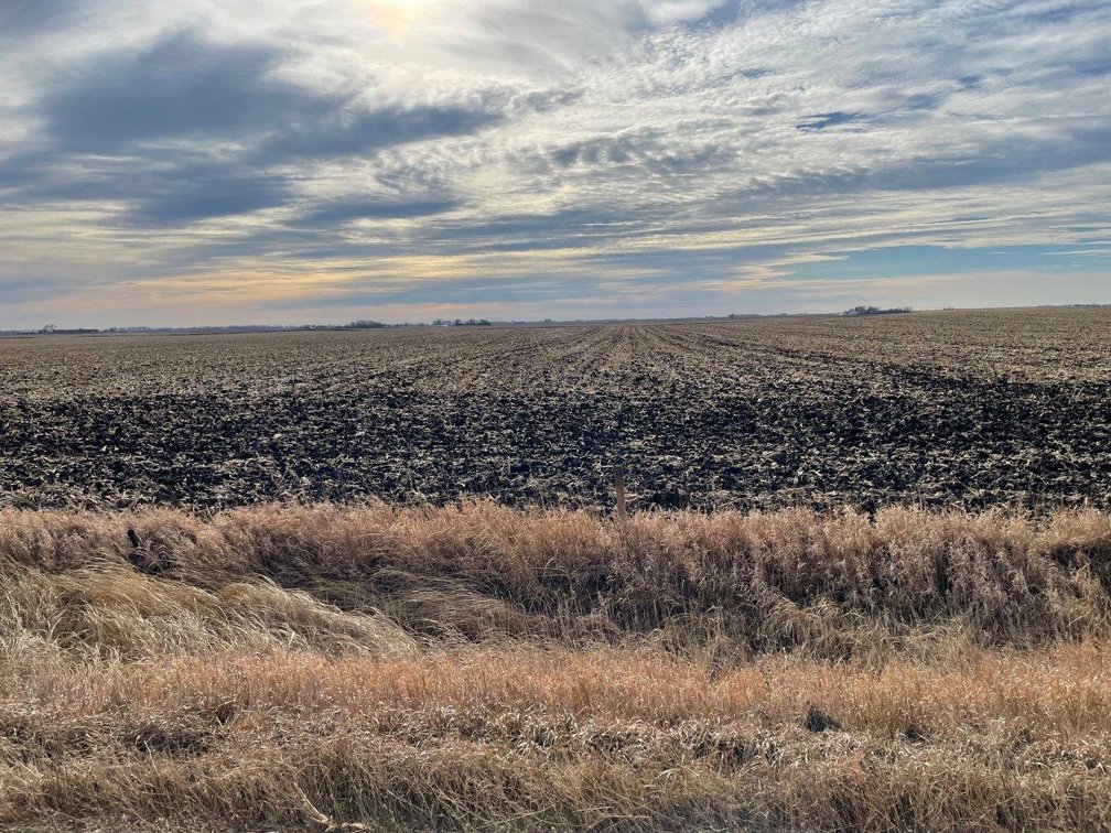Image for Sac County, IA Land For Sale!