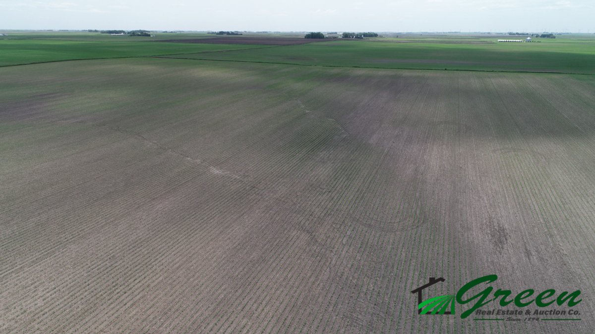 Image for Sac County, IA Land Auction!