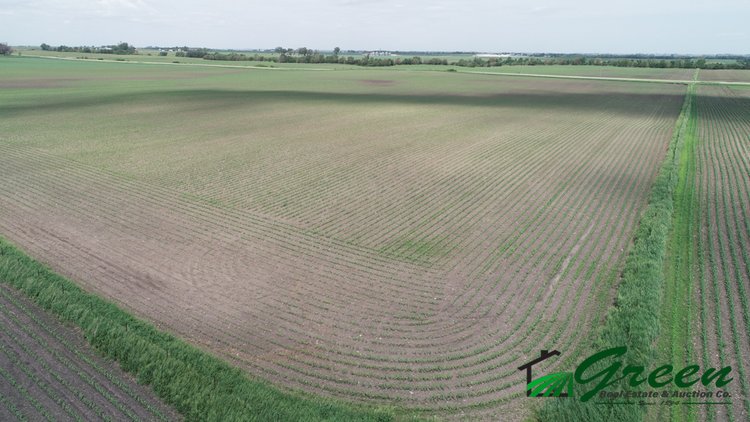 Image for Sac County, IA Land Auction!