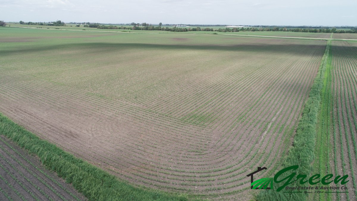 Image for Sac County, IA Land Auction!