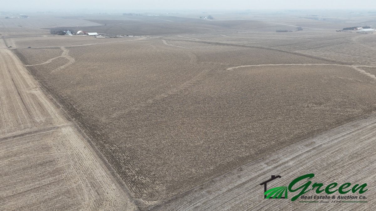 Image for Carroll County Land Auction!
