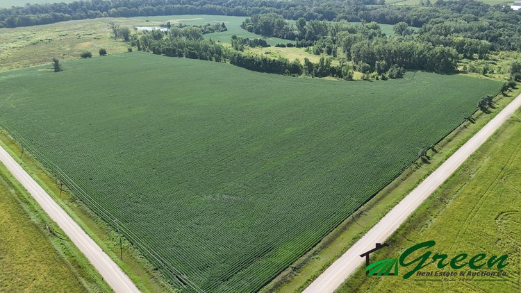 Image for Webster County, IA Land Auction!