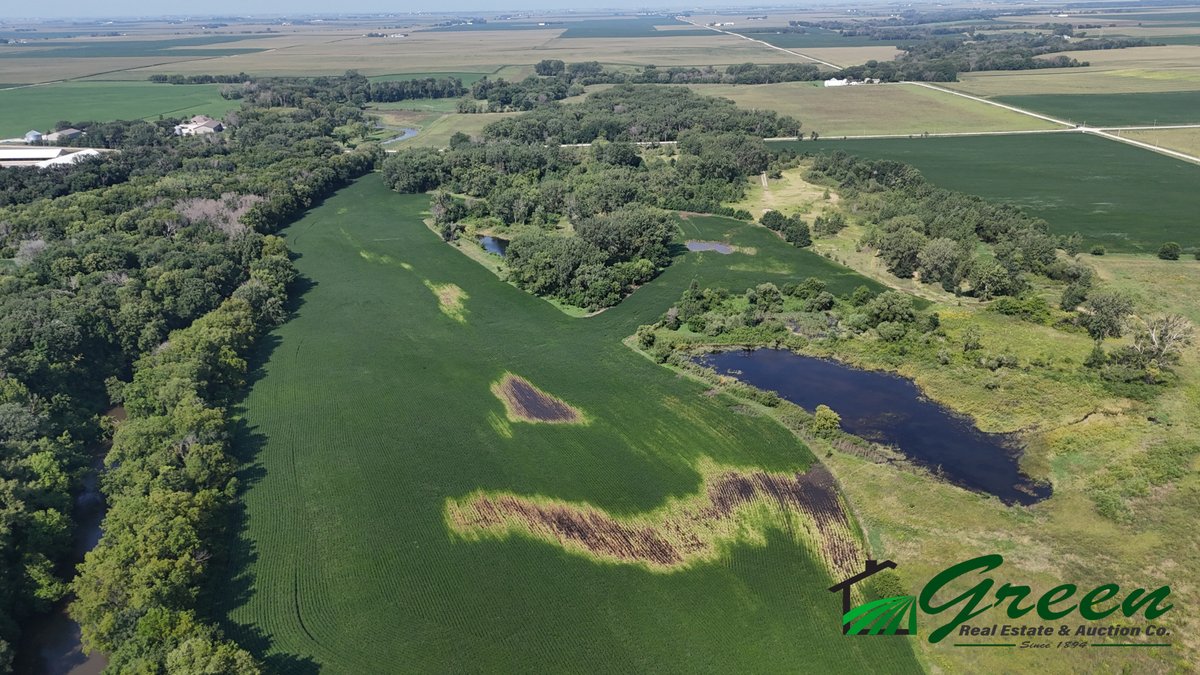 Image for Webster County, IA Land Auction!