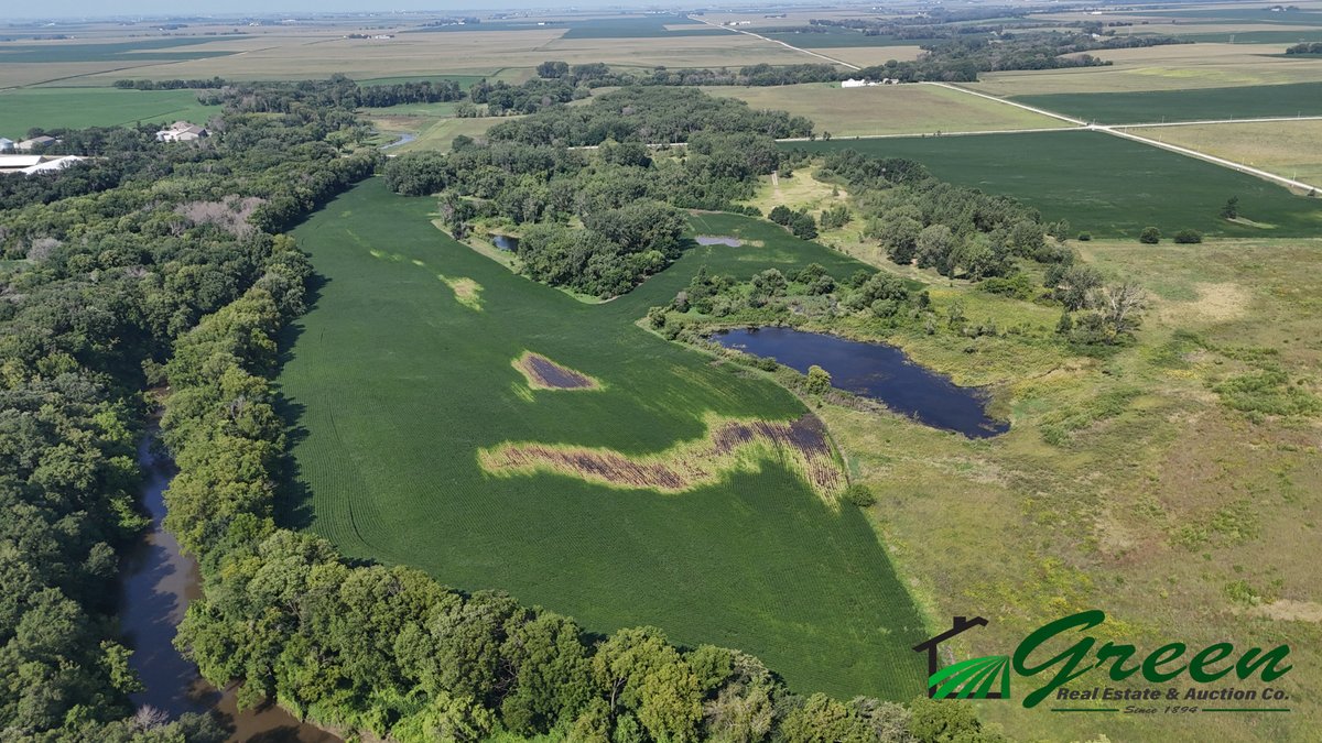Image for Webster County, IA Land Auction!