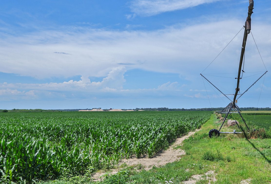Image for Conrad & Theresa Wildhagen Estate Land Auction - Sarpy County, NE 78.83 Acres