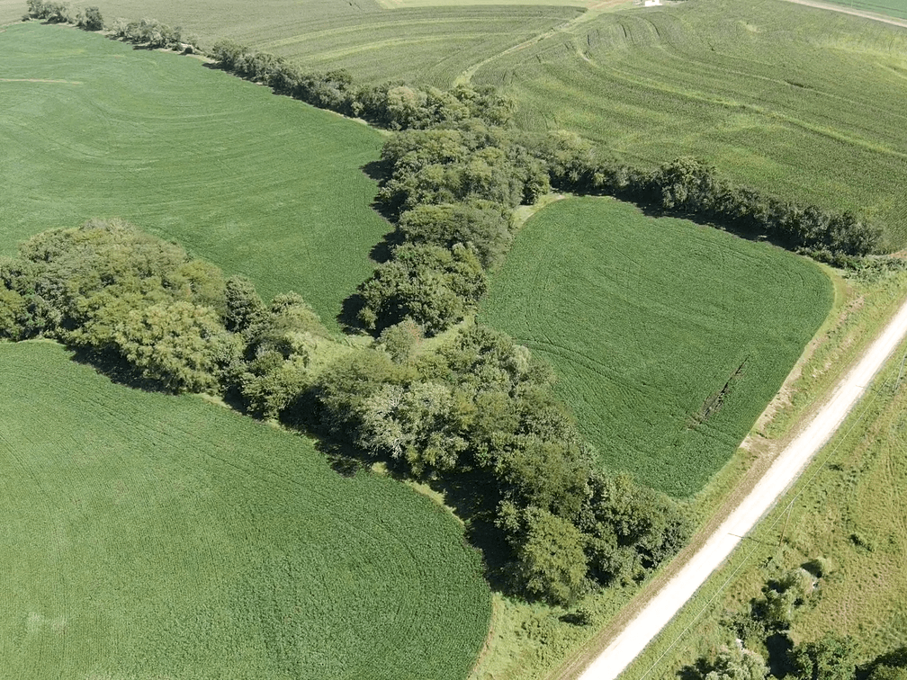 Image for Niebrugge Land Auction - Nemaha County, NE