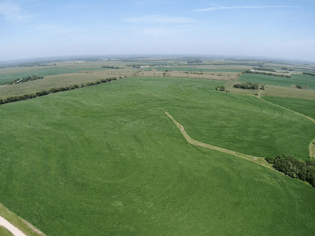 Image for Niebrugge Land Auction - Nemaha County, NE