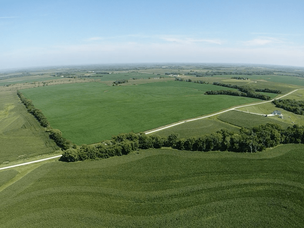 Image for Niebrugge Land Auction - Nemaha County, NE
