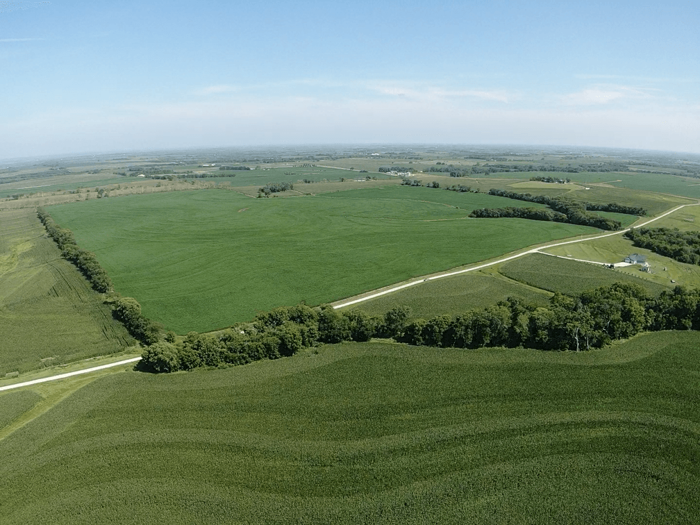Image for Niebrugge Land Auction - Nemaha County, NE