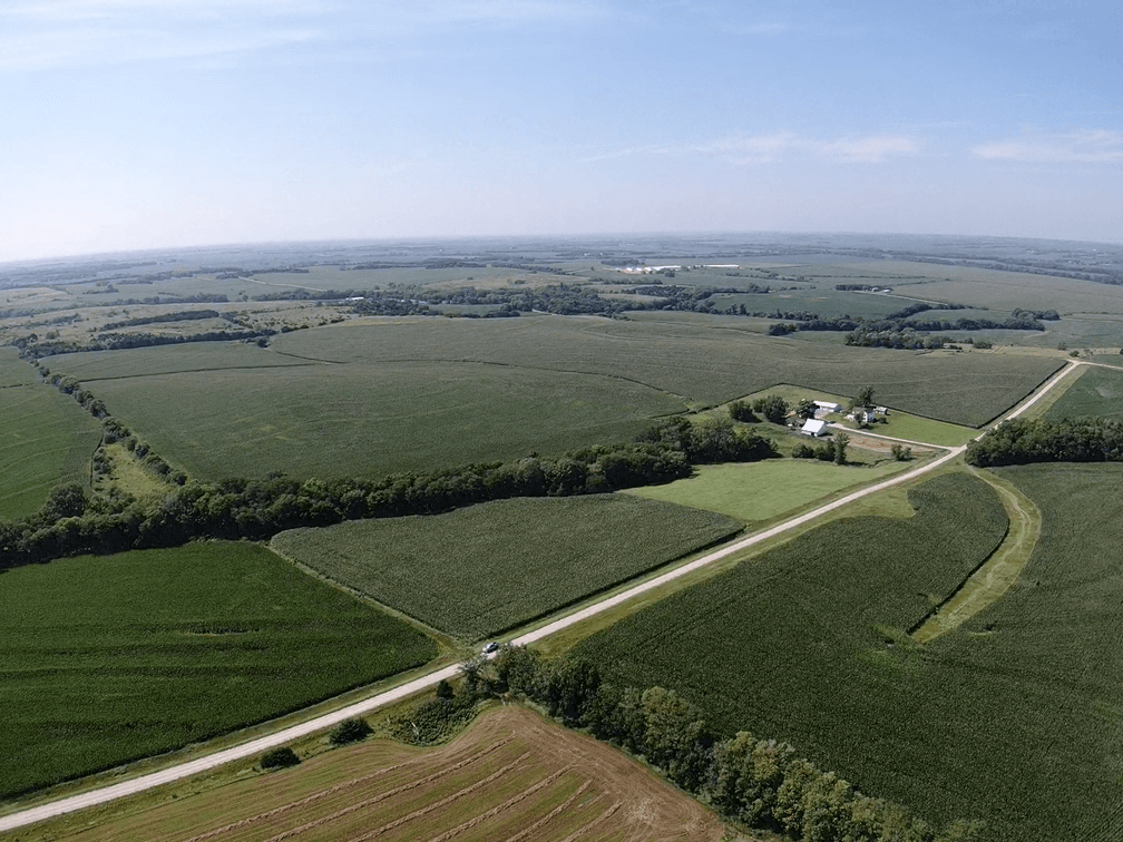 Image for Niebrugge Land Auction - Nemaha County, NE