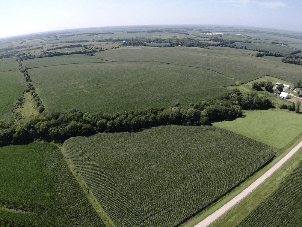 Image for Niebrugge Land Auction - Nemaha County, NE