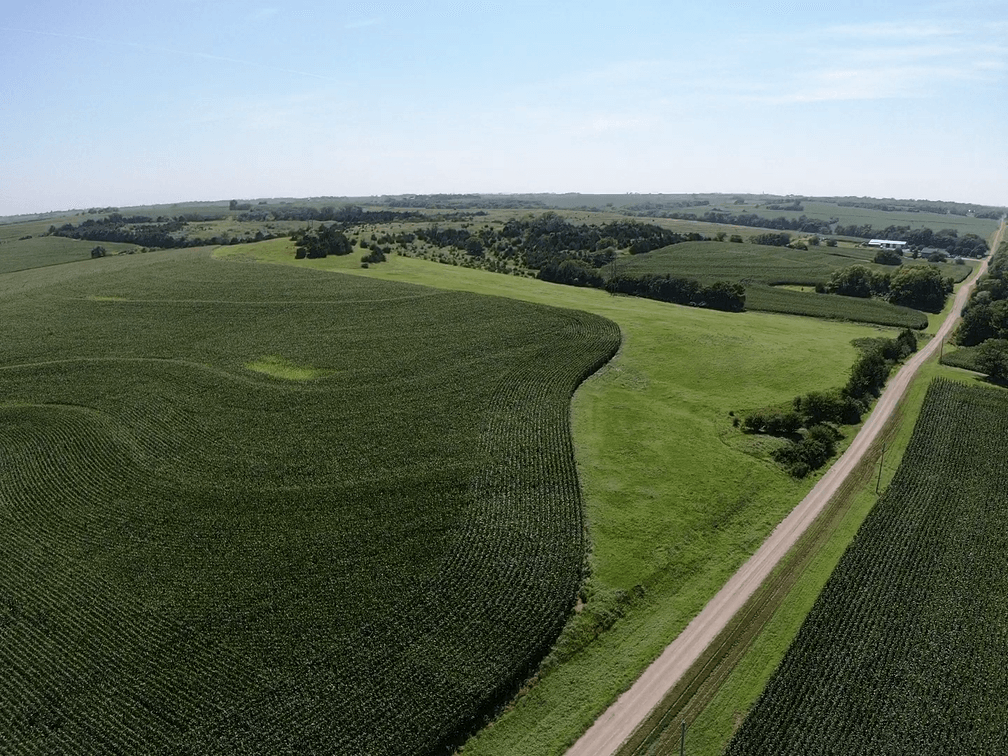 Image for Niebrugge Land Auction - Nemaha County, NE