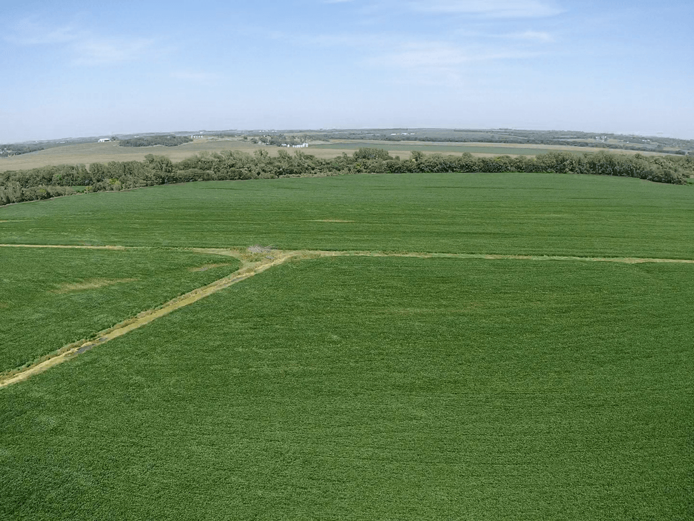 Image for Niebrugge Land Auction - Nemaha County, NE