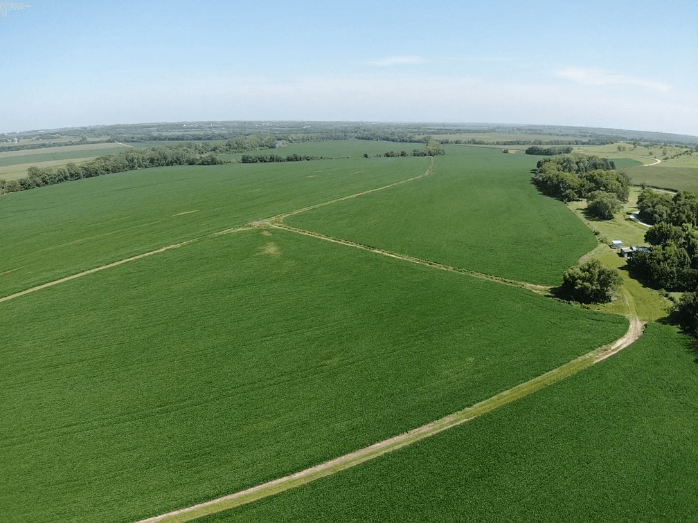 Image for Niebrugge Land Auction - Nemaha County, NE