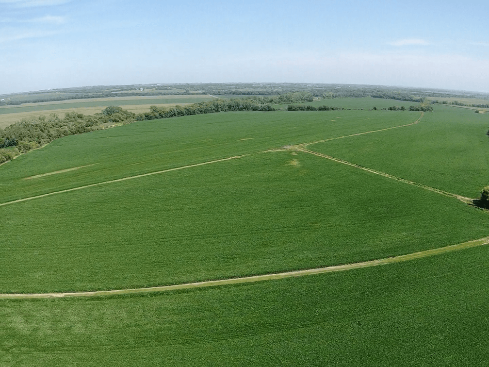 Image for Niebrugge Land Auction - Nemaha County, NE