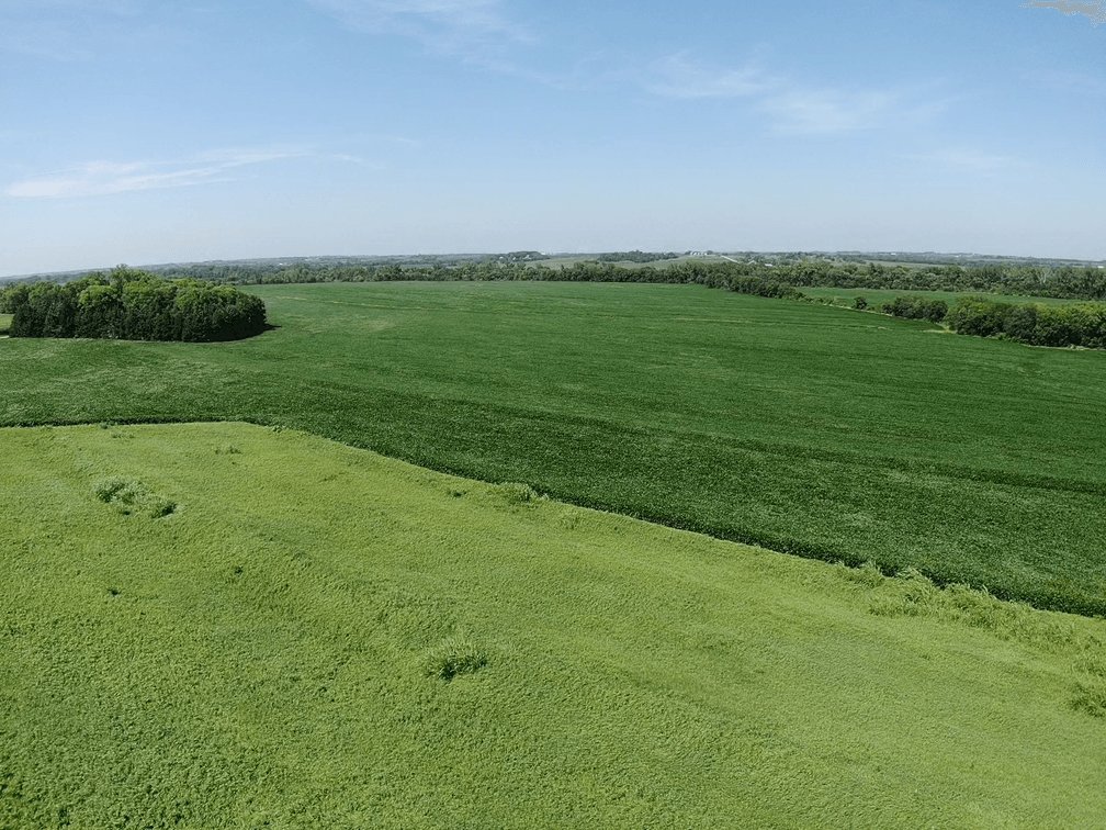 Image for Niebrugge Land Auction - Nemaha County, NE