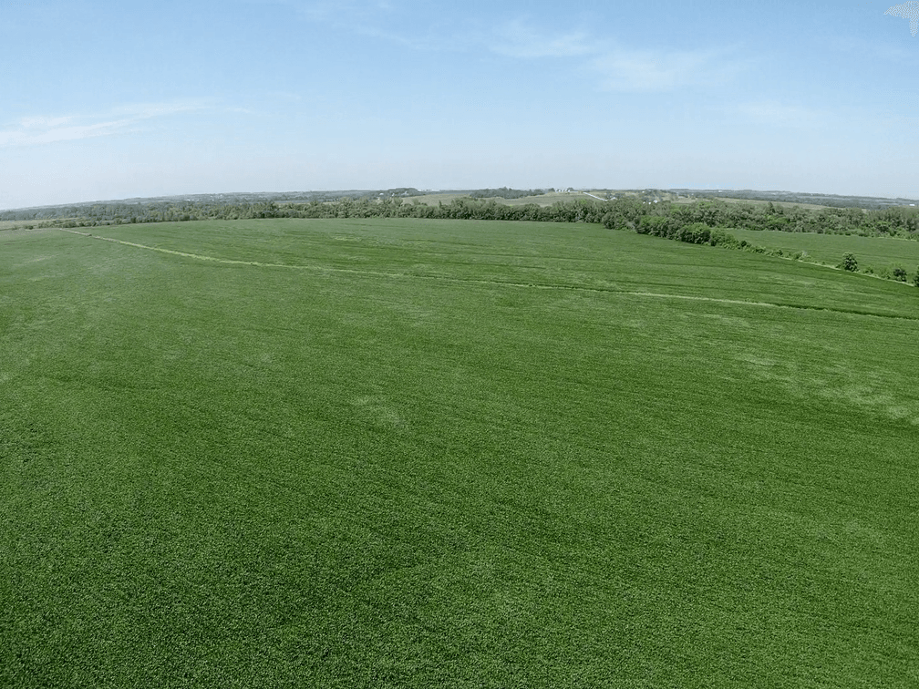 Image for Niebrugge Land Auction - Nemaha County, NE