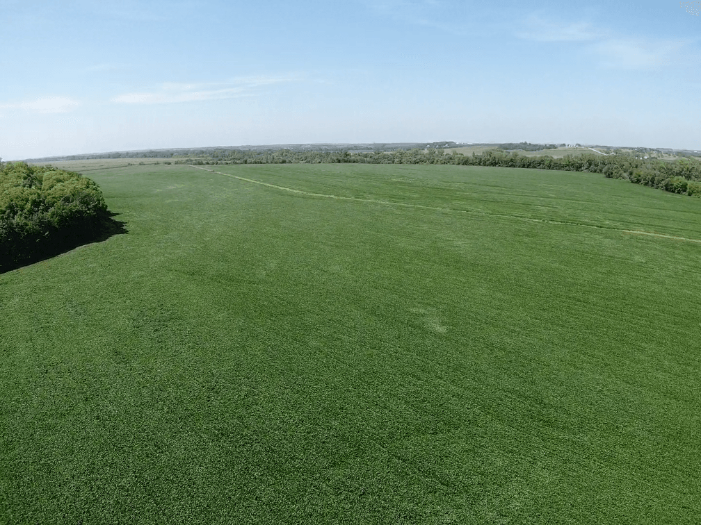 Image for Niebrugge Land Auction - Nemaha County, NE