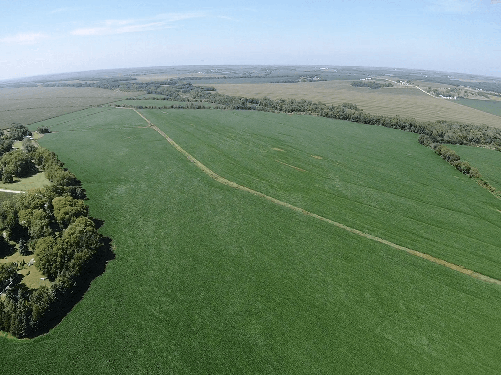 Image for Niebrugge Land Auction - Nemaha County, NE