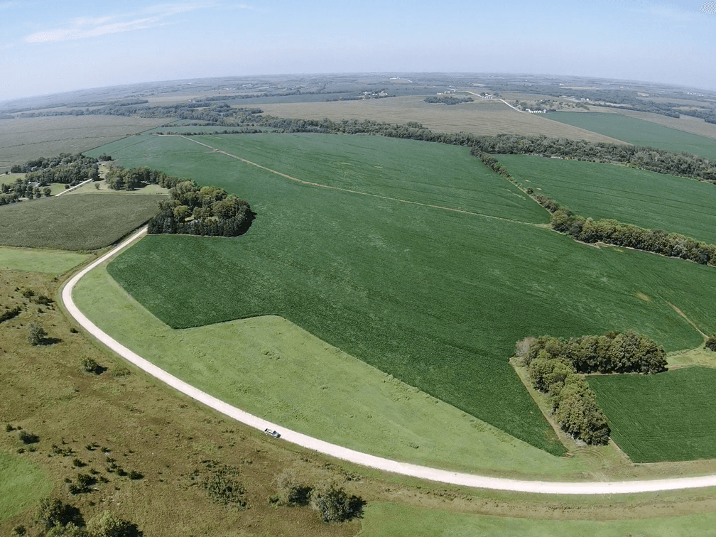 Image for Niebrugge Land Auction - Nemaha County, NE