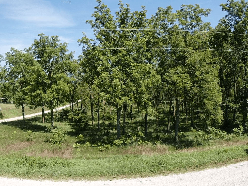 Image for Niebrugge Land Auction - Nemaha County, NE
