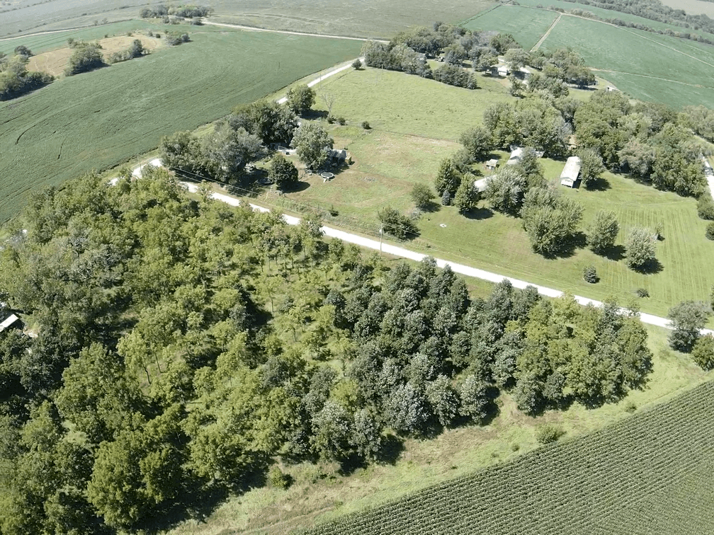 Image for Niebrugge Land Auction - Nemaha County, NE