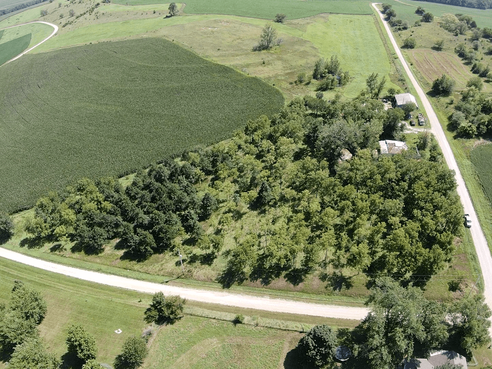 Image for Niebrugge Land Auction - Nemaha County, NE