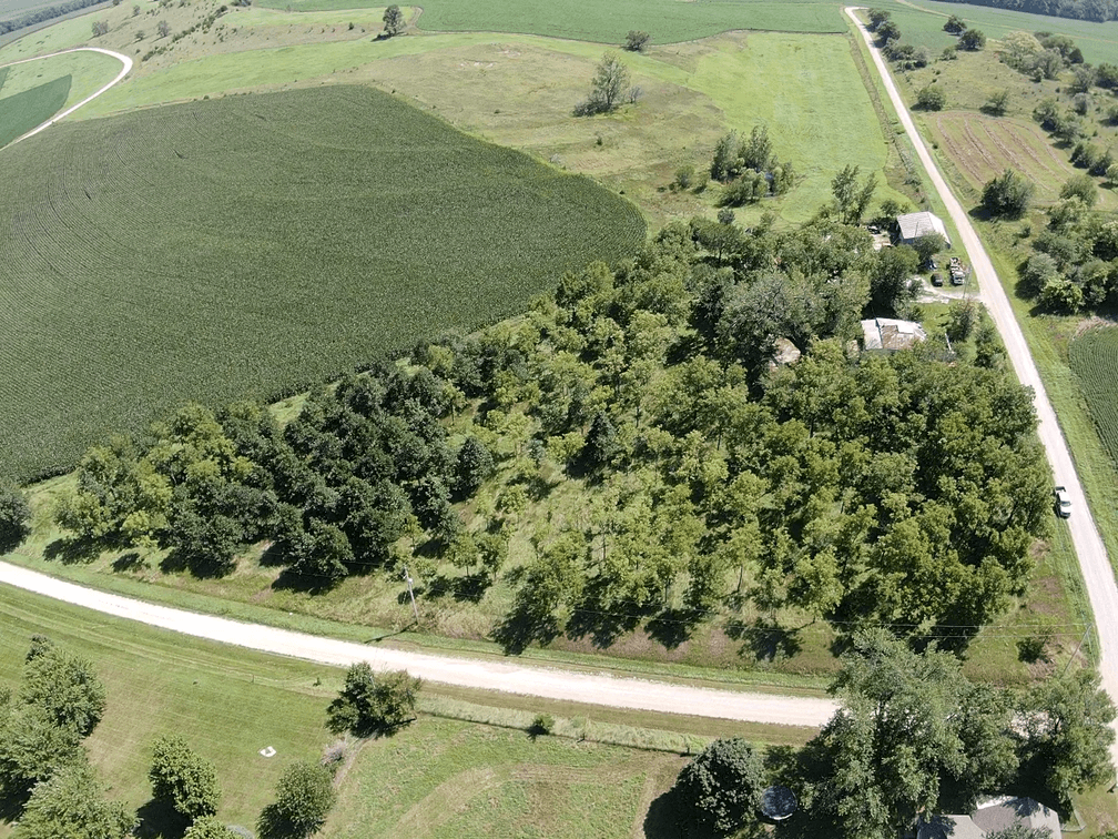 Image for Niebrugge Land Auction - Nemaha County, NE