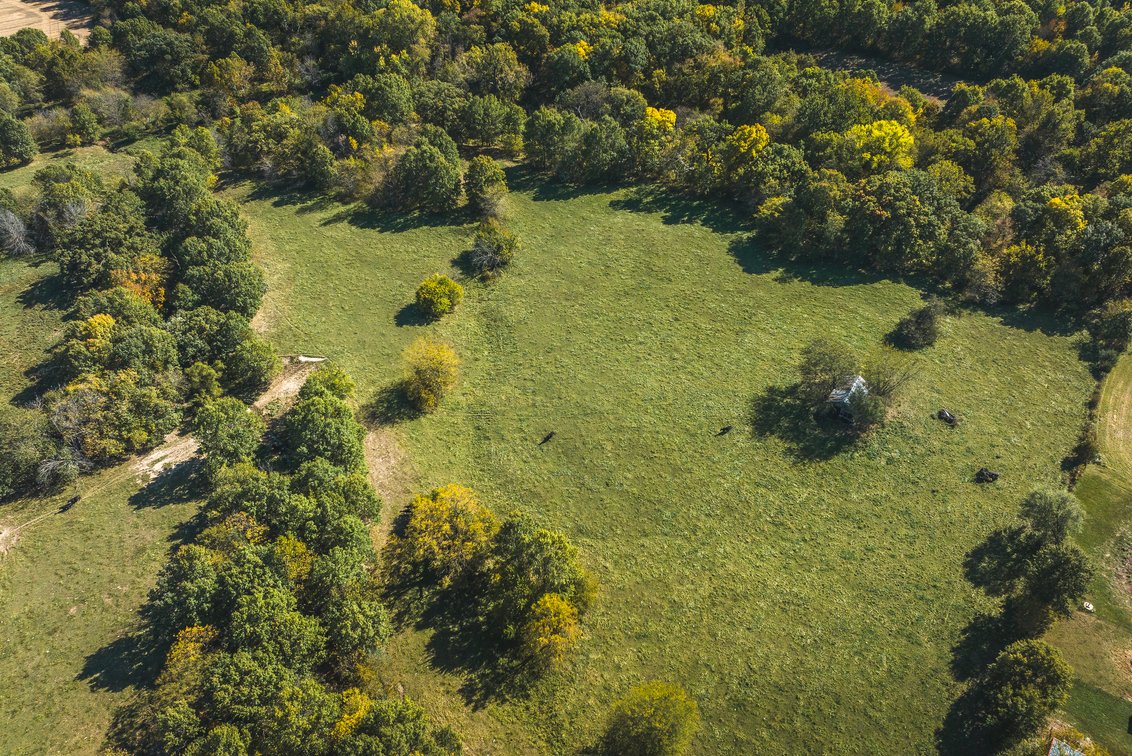 Image for Thompson River Farmland