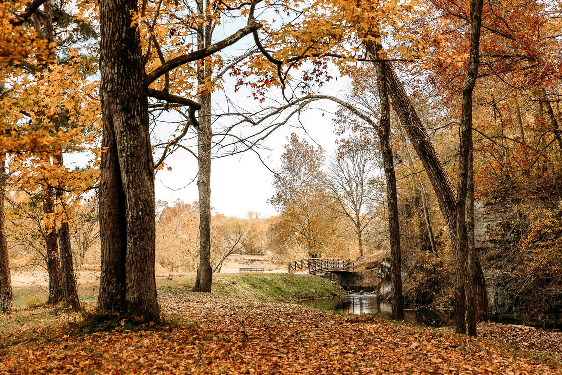 Image for Keener Springs