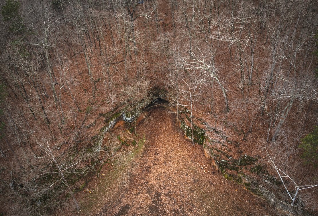 Image for Keener Springs