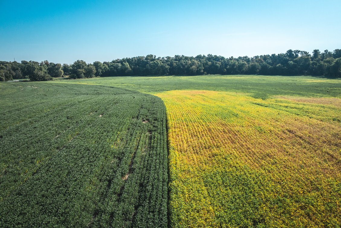 Image for St. Clair County Ag