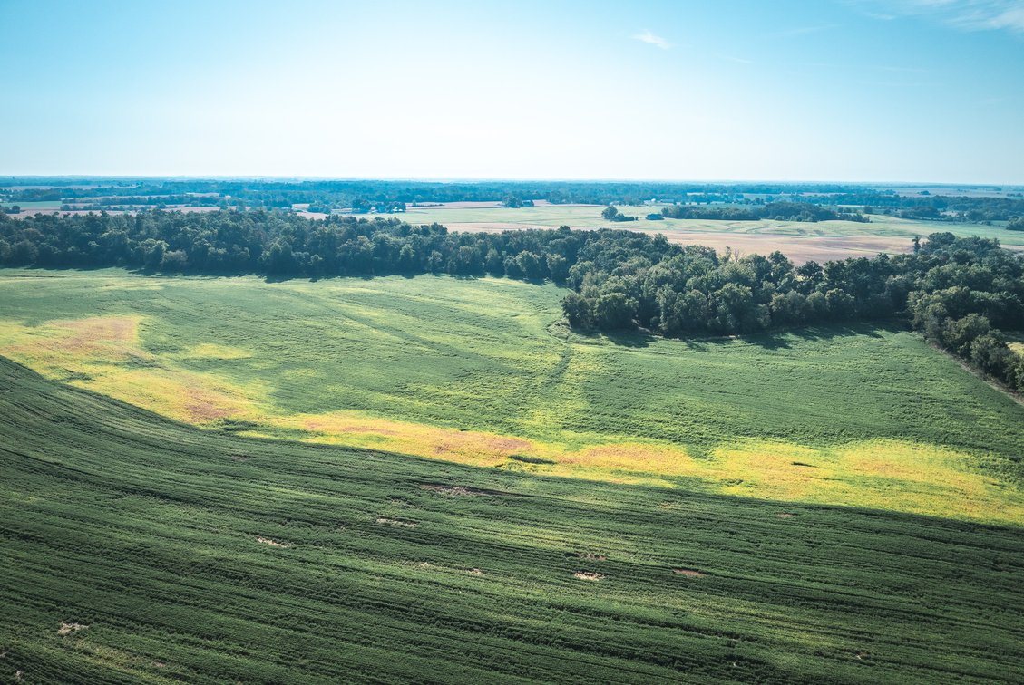Image for St. Clair County Ag