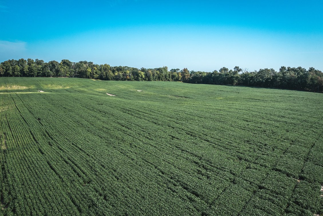 Image for St. Clair County Ag