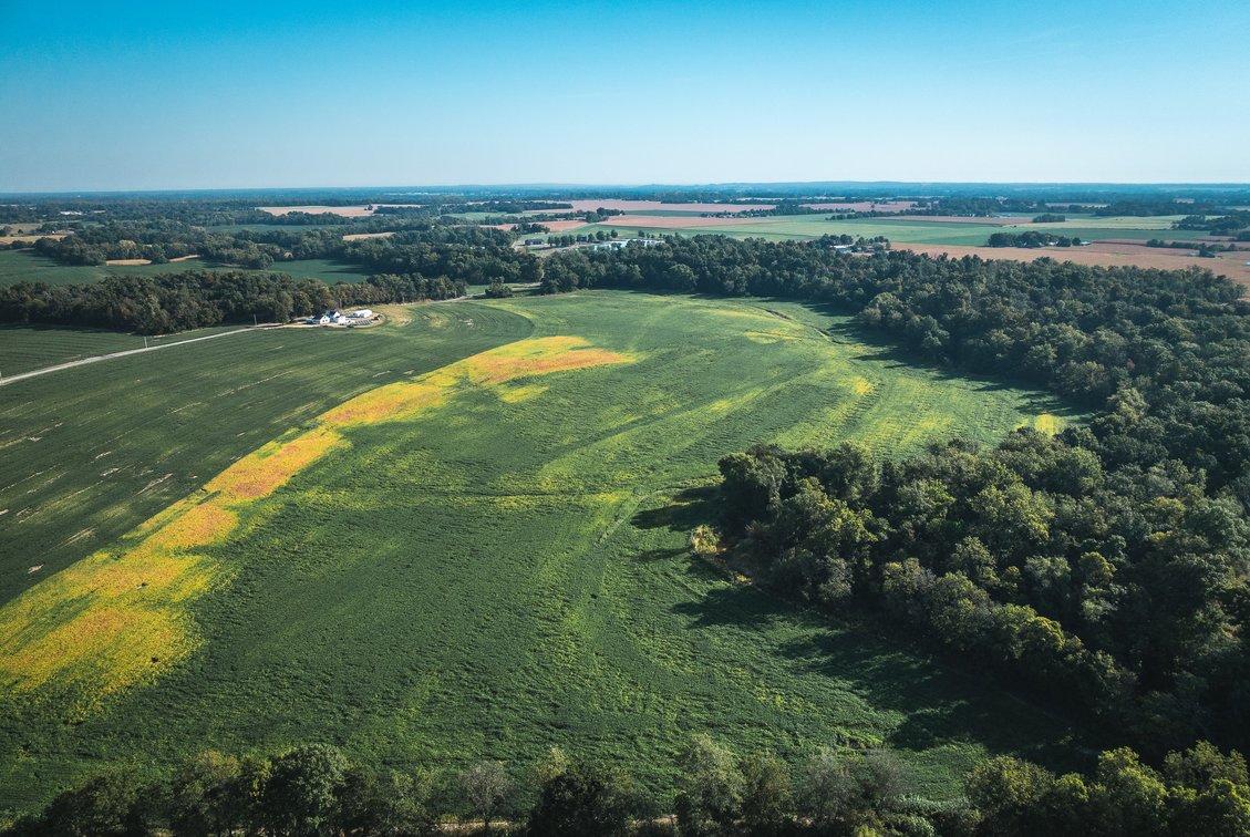 Image for St. Clair County Ag