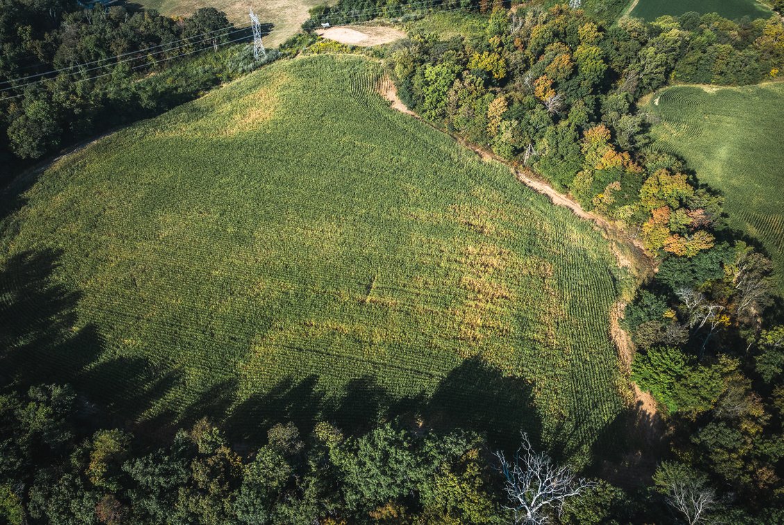 Image for St. Clair County Ag