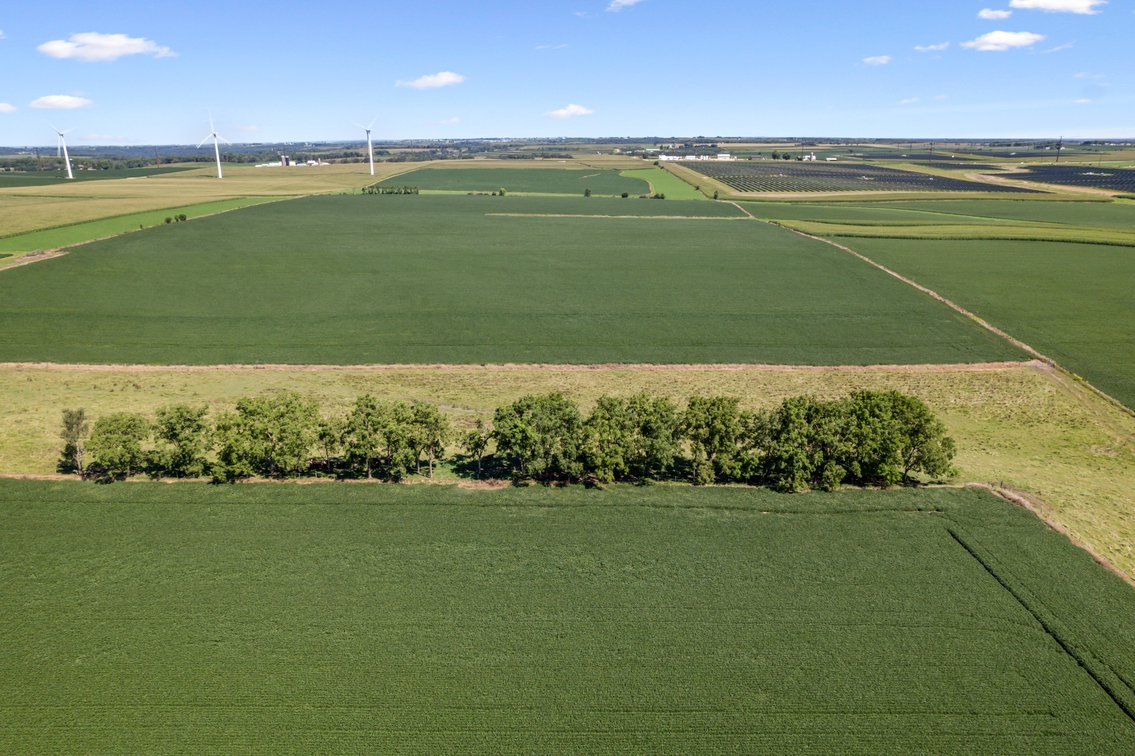 Image for 80 ACRES IN IOWA COUNTY, WI - REAL ESTATE