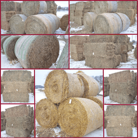 FEB DODGE ONLINE HAY AUCTION - Dodge, WI