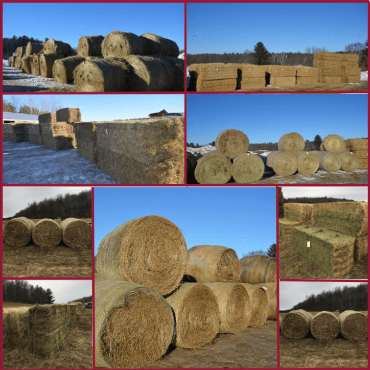 Image for FEBRUARY HAY & BEDDING AUCTION - Fairchild, WI