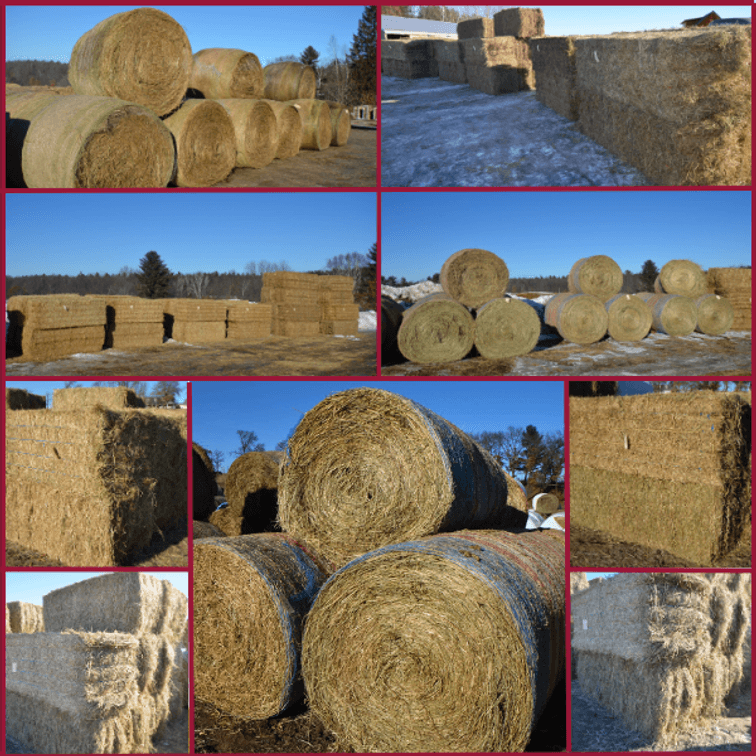 Image for DODGE ONLINE HAY AUCTION - Dodge, WI