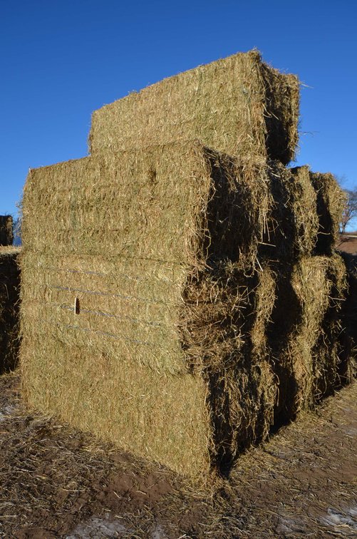 Image for DODGE ONLINE HAY AUCTION - Dodge, WI
