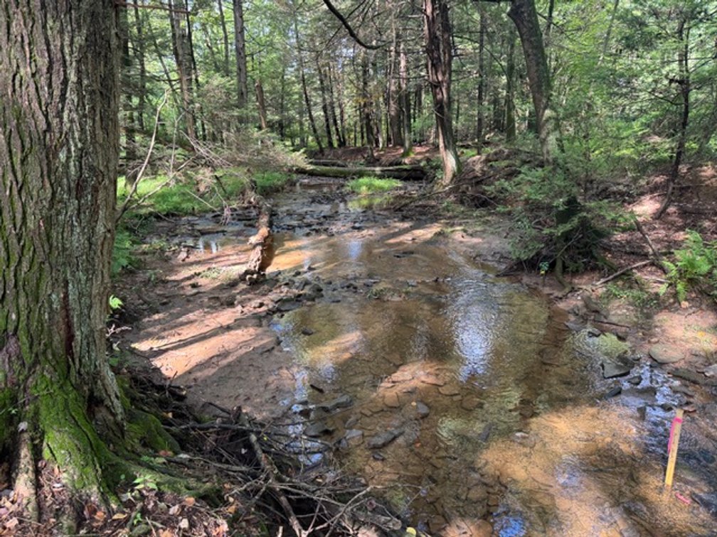 Image for Real Estate Auction - Pennsylvania Country Estate