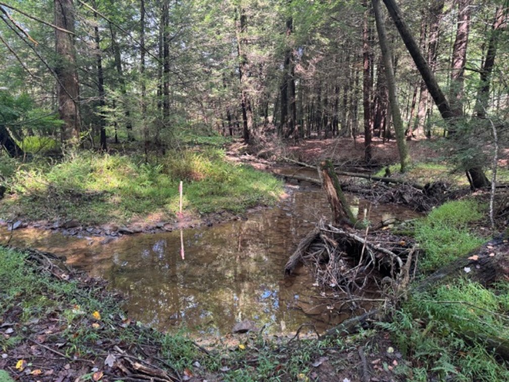 Image for Real Estate Auction - Pennsylvania Country Estate