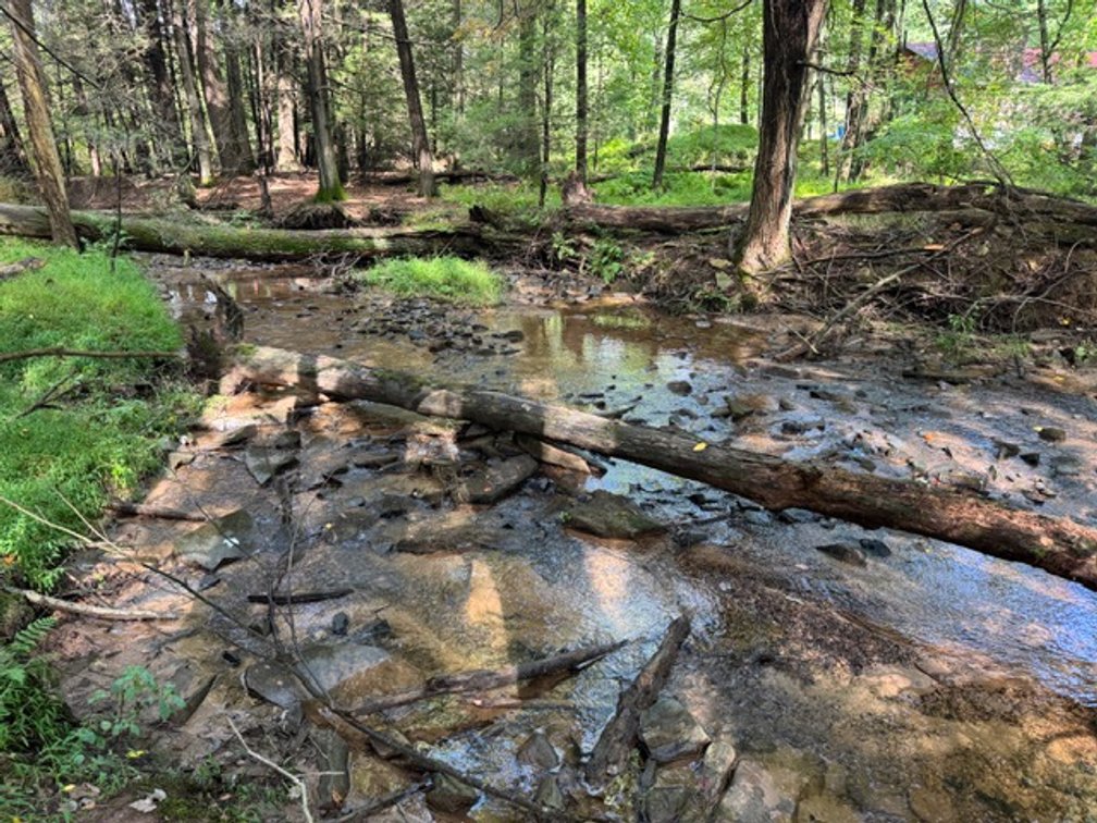 Image for Real Estate Auction - Pennsylvania Country Estate
