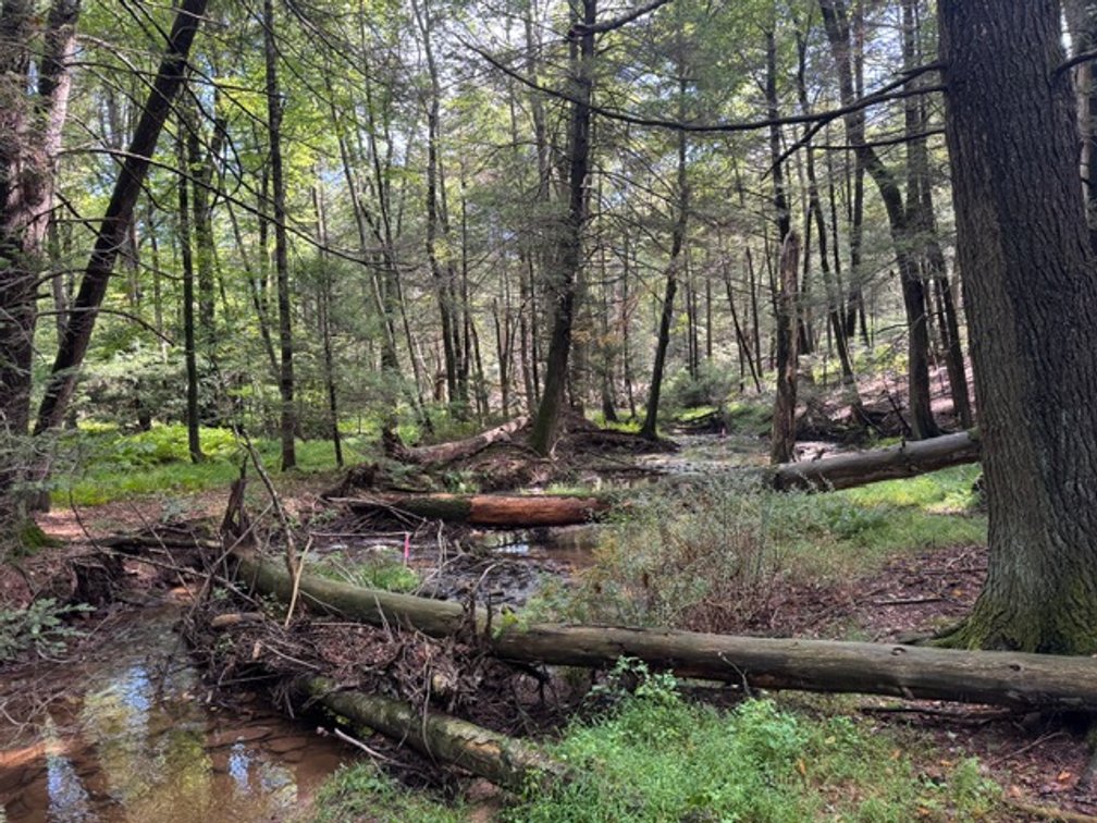 Image for Real Estate Auction - Pennsylvania Country Estate