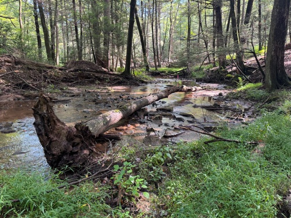 Image for Real Estate Auction - Pennsylvania Country Estate