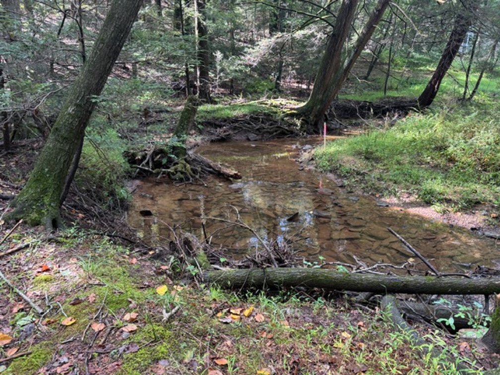 Image for Real Estate Auction - Pennsylvania Country Estate