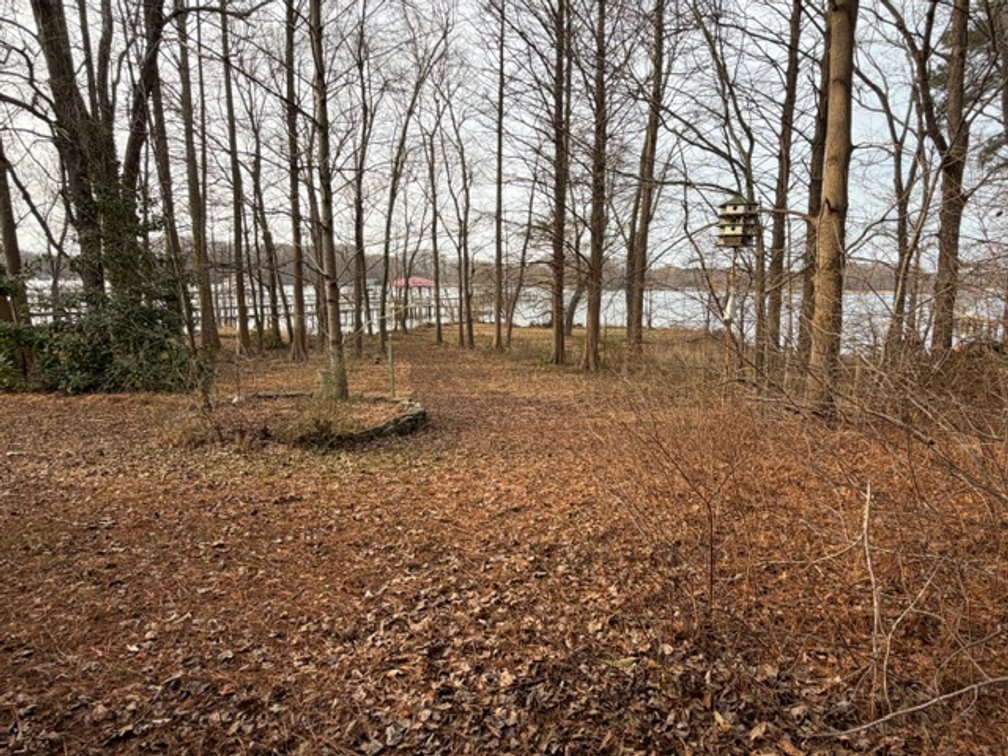 Image for New Kent County Tax Delinquent Auction February 5, 2026